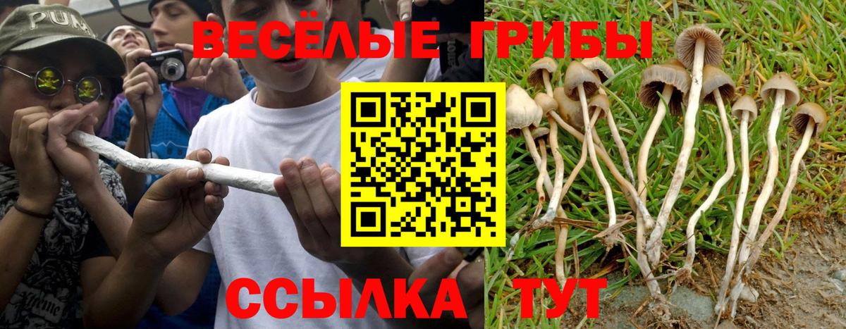 Туапсе  Псилоцибиновые грибы мицелий  Вход с VPN  Галлюциногенные грибы Magic Shrooms 
